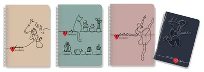 Caiet Black&White Line Art - B5, 105 foi, sortiment