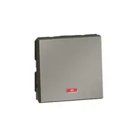 Intrerupator cap scara Arteor - cu indicator - 10 AX 250 V~ - 2 module - magnesium