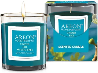 Lumânare parfumată Areon Classic - Under the Mystic Tree, 120 g