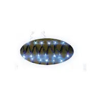 Sir luminos SL20-WG: 200 LED-uri albe, L=20m, cablu verde