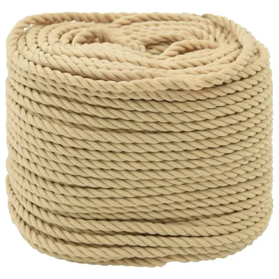 vidaXL Sfoară de Barcă 6 mm 25 m natural