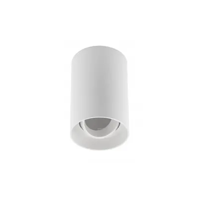 Spot - Ceiling light fixture RESTO, PC, φ80x125mm, IP20, max 20W, round, white