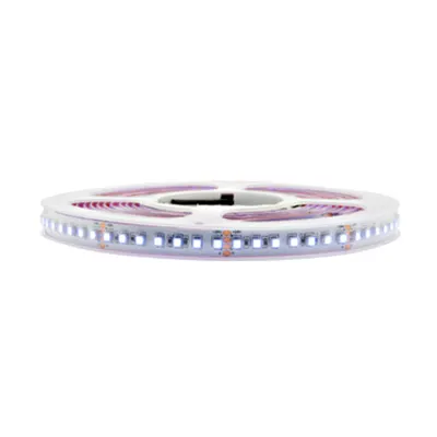 Fs 80, Rgb 17,0w/m, 24vdc, Ip44, L=5m