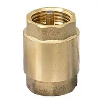 Supapa de Sens, Alama 1/2", cu Arc si Element de Inchidere, pentru Instalatii Apa si Termice