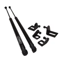 Amortizor Capota Compatibil MG5 2022-Prezent