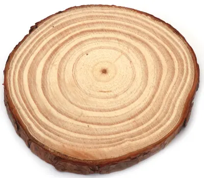 Discuri de lemn Em art - 10-11 x 1 cm (1 buc.)