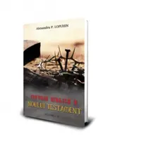 Istoria biblica a Noului Testament. Volumul II