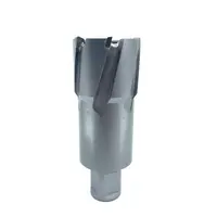 Carota pt. otel din carbura de tungsten, ⌀ 36mm, h=50mm, cu prindere Weldon - DXDY.P-TCT-50.36.W