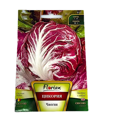 Seminte cicoare tip radacina Chioggia 3 gr, Florian Bulgaria - Default Title
