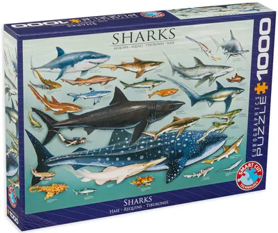 Puzzle Eurographics de 1000 piese – Rechini