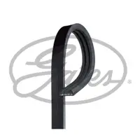 Curea transmisie cu caneluri GATES 3PK668