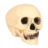 Cap schelet 20 cm