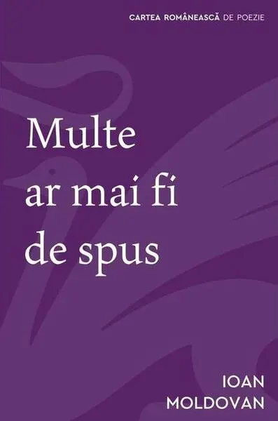 Multe ar mai fi de spus - Paperback brosat - Ioan Moldovan - Cartea Românească