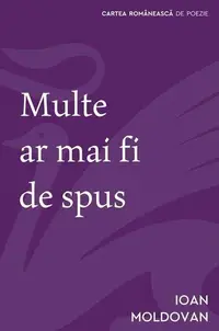 Multe ar mai fi de spus - Paperback brosat - Ioan Moldovan - Cartea Românească