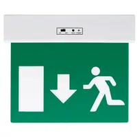 Lampa iesire de urgenta sageata in jos lateral Elmark 9XL5113