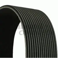 Curea transmisie cu caneluri CONTITECH 15PK938