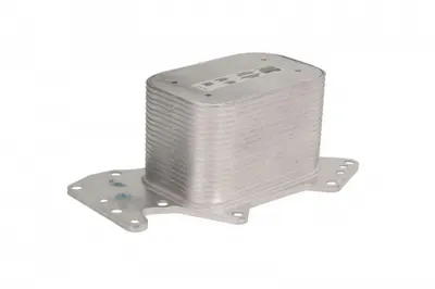 Termoflot Radiator Ulei Audi A4, A4 Allroad, A5, A6, A6 Allroad, Q5, Q7; Porsche Cayenne; Vw Phaeton, Touareg 2.7d 3.0d Dupa 2004