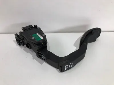 Pedala acceleratie 3d1721503n Volkswagen Phaeton facelift (2008-2010) 3.0 tdi CEXA