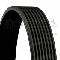 Curea transmisie cu caneluri CONTINENTAL CTAM 8PK1230