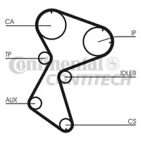 Curea de distributie CONTITECH CT966
