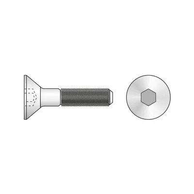 Surub Cap Inecat Locas Inbus 7991 Otel Gr.8.8 Zincat-M5 X 30