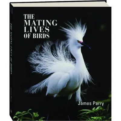 Mating lives of birds