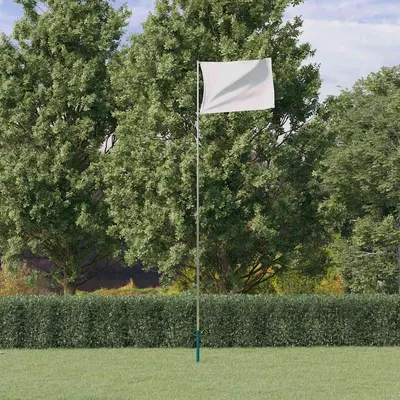 vidaXL Stâlp de steag telescopic, argintiu, 5,5 m, aluminiu