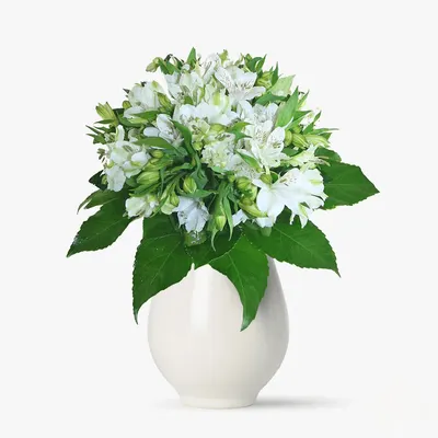 Buchet de 19 alstroemeria albe
