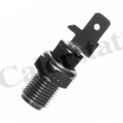 Senzor temperatura lichid racire CALORSTAT by Vernet WS2540
