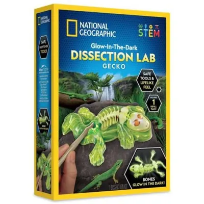 National Geographic - Kit creativ laborator de disectie soparla