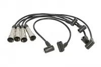 Set Cablaj Aprindere Potrivit Seat Cordoba, Cordoba Vario, Ibiza Ii, Inca; Vw Caddy Ii, Caddy Ii Minivan, Golf Iii, Polo, Polo Iii, Polo Iii Classic, Vento 1.0 1.4 1.6 10.91-01.04