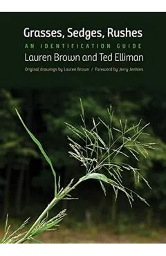 Grasses, Sedges, Rushes: An Identification Guide