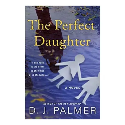 The Perfect Daughter, D.J. Palmer