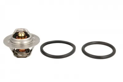 Termostat Lichid Racire (89 C) Volvo 440 K, 460 L; Opel Arena, Movano; Renault 11, 14, 19 I, 19 I Chamade, 19 Ii, 19 Ii Chamade, 21, 9, Clio I, Clio Ii, Espace Iii, Kangoo 1.2-2.0