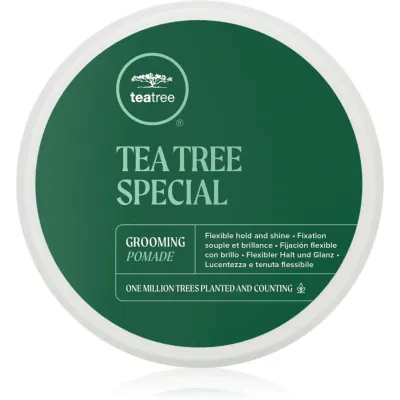 Paul Mitchell Tea Tree Special Grooming Pomade alifie pentru par pentru definire si modelare 85 g