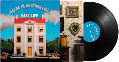 Maybe In Another Life… - Vinyl