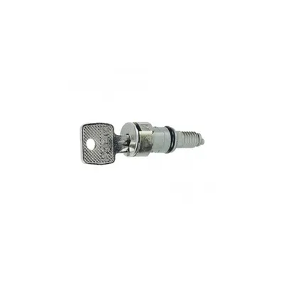 Key barrel - pentru key No 2433 A - supplied cu set of 2 keys