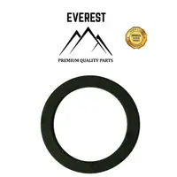 Garnitura Carburator Briggs&stratton 3,5km Everest