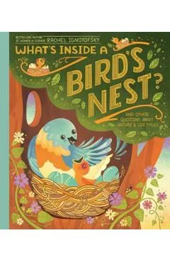 What's Inside a Bird's Nest?: And Other Questions about Nature & Life Cycles