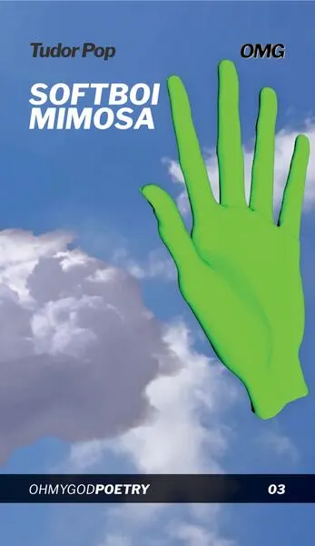 Softboi mimosa - Paperback brosat - Tudor Pop