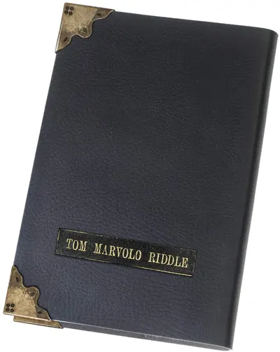 Agenda The Noble Collection Movies: Harry Potter - Tom Riddle