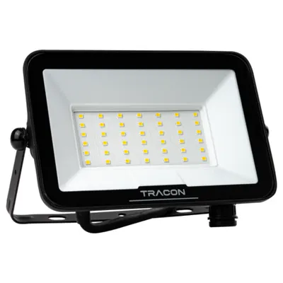 Proiector cu LED Samsung cu detector de miscare si fisa 220-240V AC, 30W, 4000K, IP54, 3000lm, EEI=F