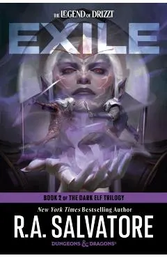 Dungeons & Dragons: Exile (the Legend of Drizzt): Book 2 of the Dark Elf Trilogy; New York Times Bestselling Author