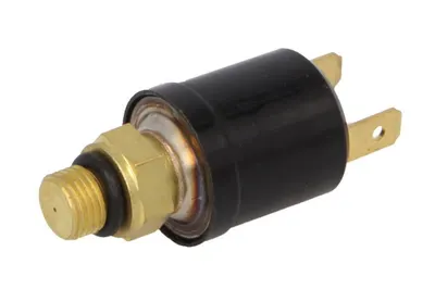Senzor presiune ulei (2 pin) potrivit FORD 5640, 6640, 7740, 7840, 8240, 8260, 8340, TM 110, TM 120, TM 130, TM 140; NEW HOLLAND T7.140, T7.150, TM 110, TM 120, TM 130, TM 140, 100, 110, 115, 90