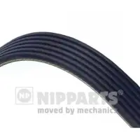 Curea transmisie cu caneluri NIPPARTS J1061875