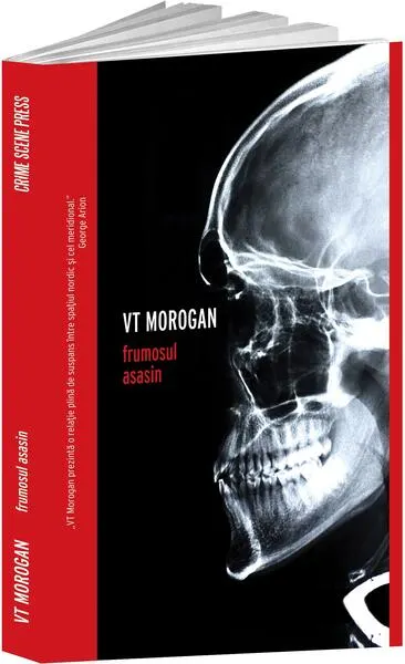 Frumosul asasin - Paperback brosat - Viorica Morogan, Teodor Morogan