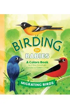 Birding for Babies: Migrating Birds: A Colors Book