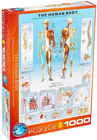Puzzle Eurographics din 1000 de piese - Corpul uman