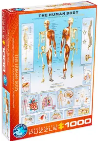 Puzzle Eurographics din 1000 de piese - Corpul uman