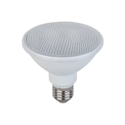 Bec Led Par30 15w E27 6500k